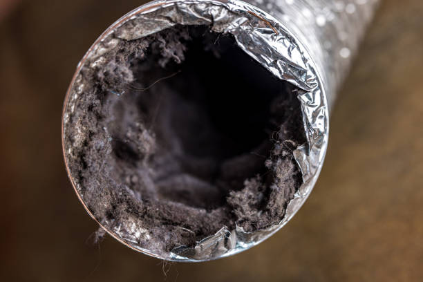 Best Professional Duct Cleaning Services  in Oquawka, IL