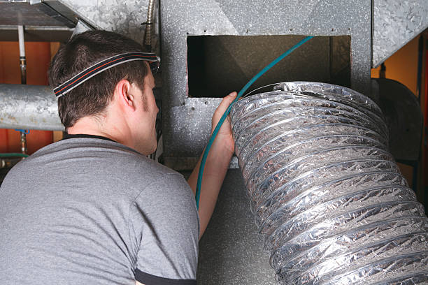 Best Home Air Vent Cleaning  in Oquawka, IL