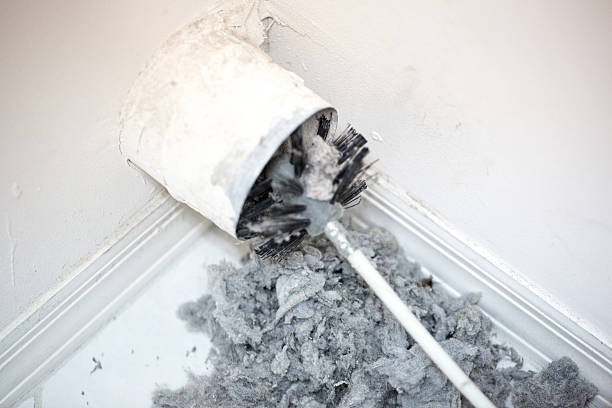 Best Best Air Duct Cleaning Company  in Oquawka, IL